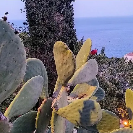 Blue Sky House Bed & Breakfast 3*